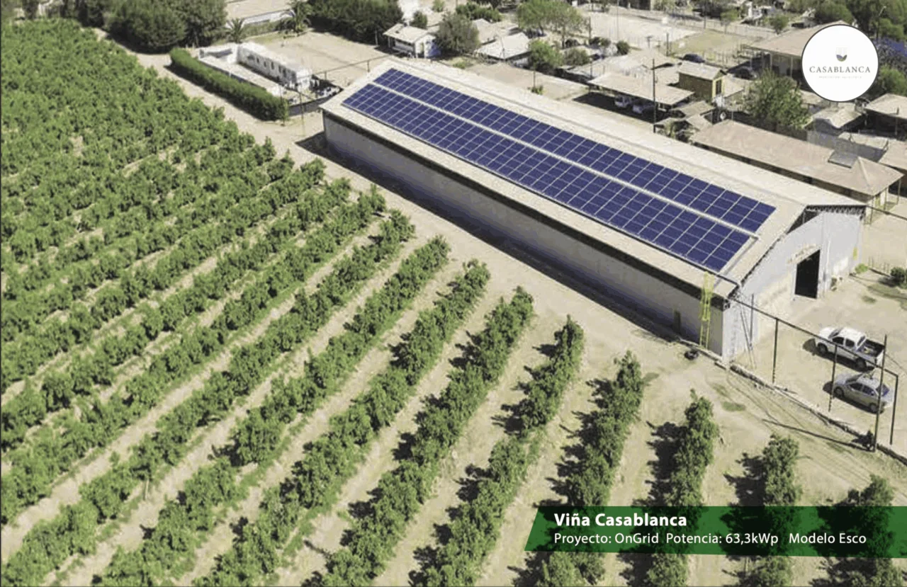 Instalación fotovoltaica de Venergía en Viña Casablanca